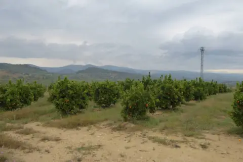 Finca rústica en Càlig