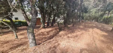 Terreno en La Canyera