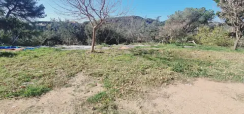 Terreno en La Conrería