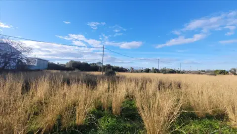 Terreno en calle Pl Poligono 24 139 Suelo 12500 Vinaros , nº 24