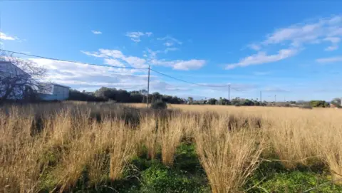 Terreno en calle Pl Poligono 24 139 Suelo 12500 Vinaros , nº 24