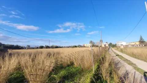 Terreno en calle Pl Poligono 24 139 Suelo 12500 Vinaros , nº 24