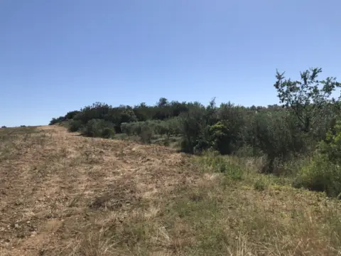 Terreno en Polígono 1, Parcela 1 y 2