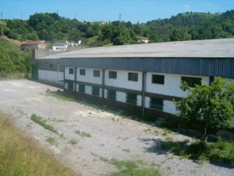 Industrial building in Poligono Riaño