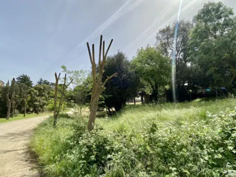 Terreno en La Roca del Vallès