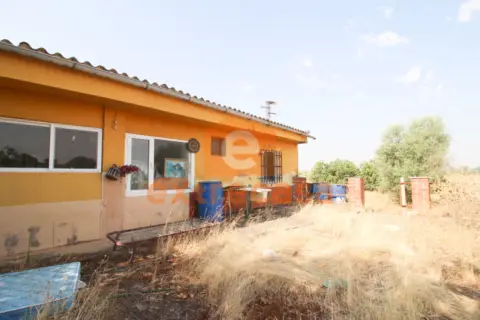 Chalet en Poblados Norte