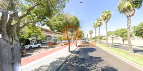 Local comercial en Carretera de Olivenza