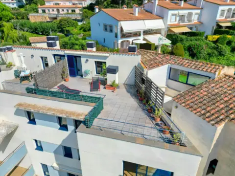 Pis – Sant Feliu de Guíxols