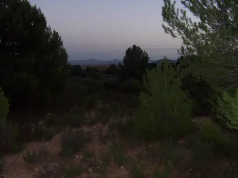 Finca rústica en Alameda los Mardos