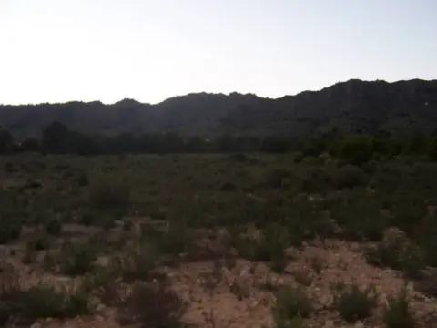 Finca rústica en Alameda los Mardos