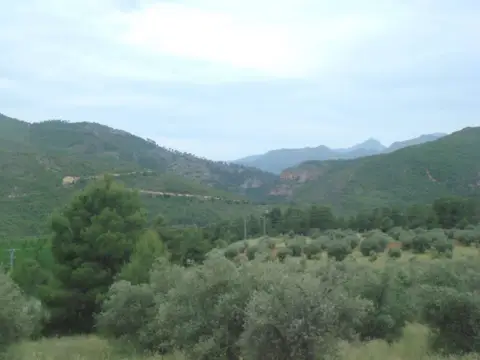 Finca rústica en calle Collado Jaral