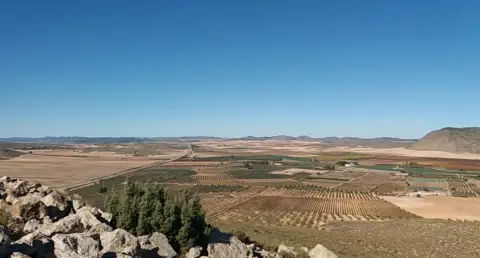 Finca rústica en Carretera de la Tobarra