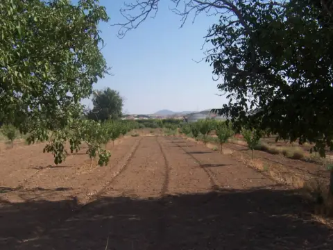 Finca rústica en Pasaje Las Hoyuelas