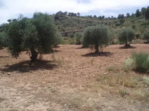 Finca rústica en calle Nava de Abajo
