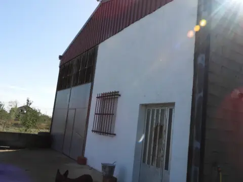 Nave industrial en calle Mayor, 141