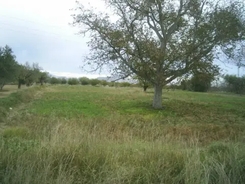 Finca rústica en Pasaje Hoyuelas