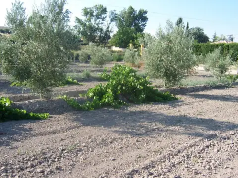 Finca rústica en Tobarra