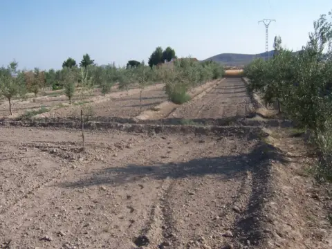Finca rústica en Tobarra