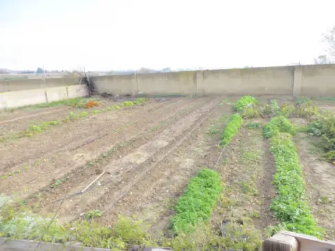 Finca rústica en calle de Tobarra