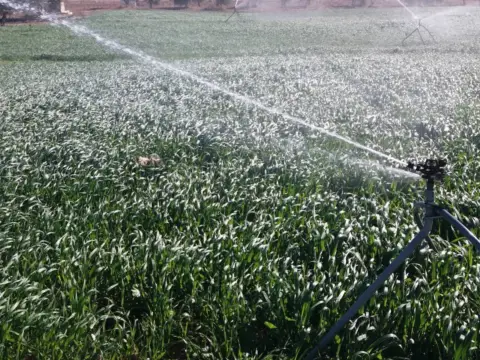 Finca rústica en Pasaje El Raso