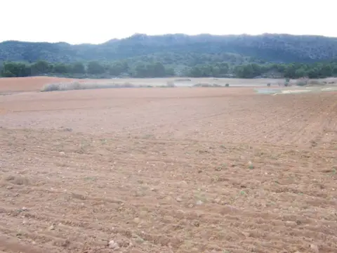Rural Property in Carretera de la Tobarra