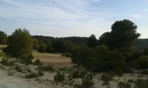 Finca rústica en calle Alatoz