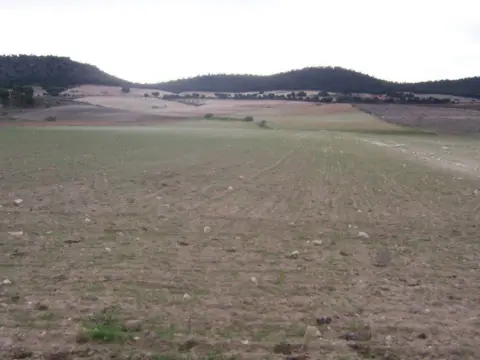 Finca rústica en calle de Tobarra