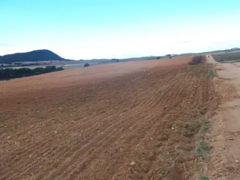 Finca rústica en calle de Tobarra