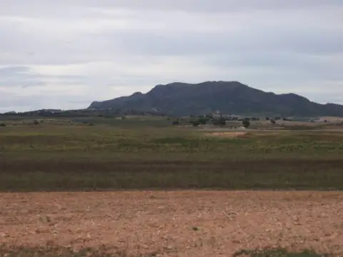 Finca rústica en Jumilla