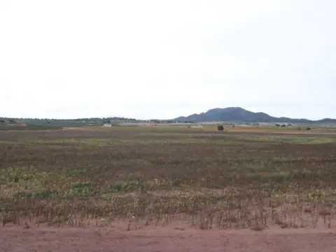 Finca rústica en Jumilla