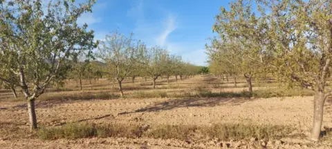 Finca rústica en El Raso