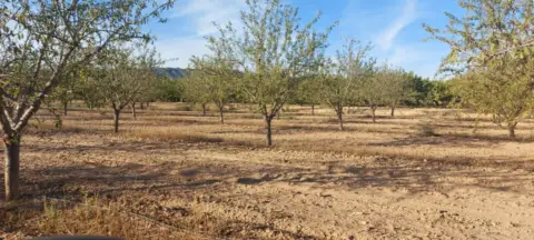 Finca rústica en El Raso