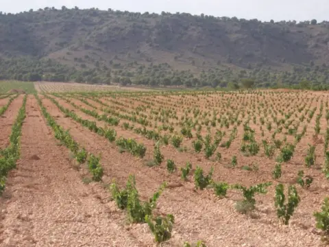 Finca rústica en Los Mardos