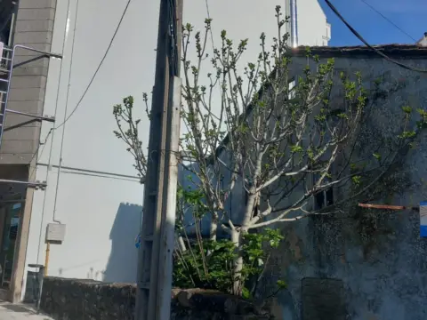 Casa en calle de Fermín Mosquera