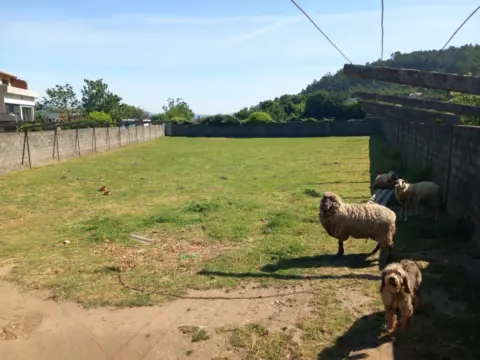 Finca rústica en Sardiñeira (Carril)