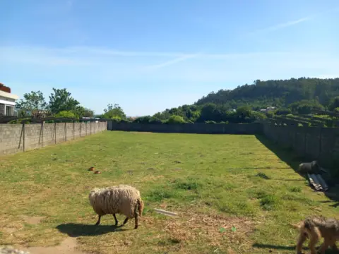 Finca rústica en Sardiñeira (Carril)