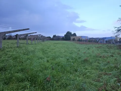 Finca rústica en Vilanova de Arousa