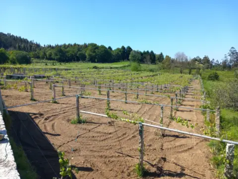 Finca rústica en calle Nantes