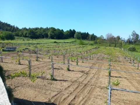 Finca rústica en calle Nantes