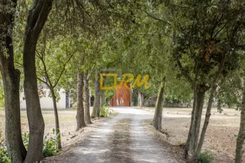 Casa en calle Roberto