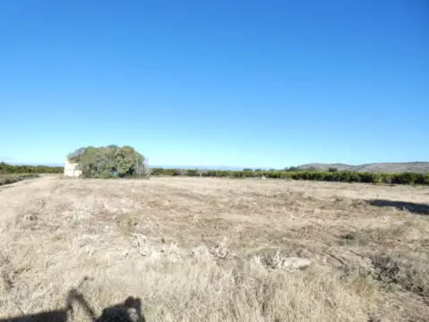 Terreno en Polígono 3 Partida El Puig