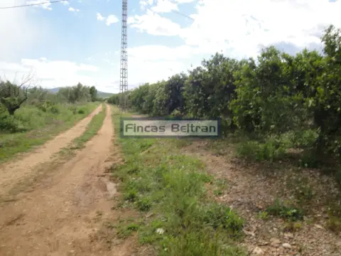 Finca rústica en Polígono 18, Parcela 153