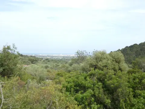 Finca rústica en Poble de Benicarló