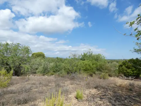 Finca rústica en calle Partida Maset, Poligono 51