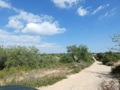Finca rústica en calle Poligono 51  Parcela 22 y 5