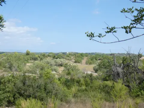 Finca rústica en calle Poligono 51  Parcela 22 y 5