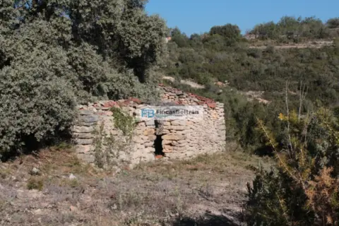 Finca rústica en Polígono 36, Parcela 240