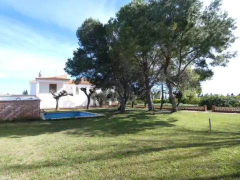 Chalet rústico en calle Partida Carrasca, Poligno 43, Parcela