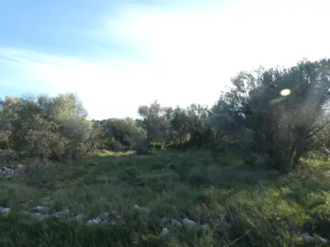 Terreno en calle Partida La Balsa, Poligono 52
