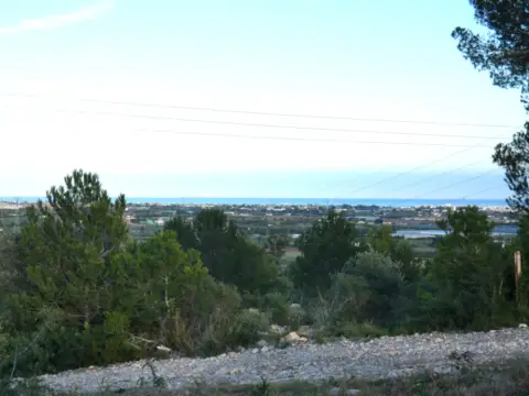 Terreno en Polígono 14, Parcela 316